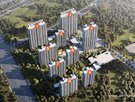 民生海通·城市芳华（聊城）
