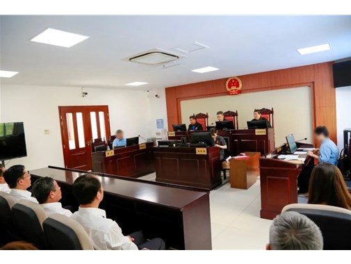 市国动办组织旁听行政案件庭审活动